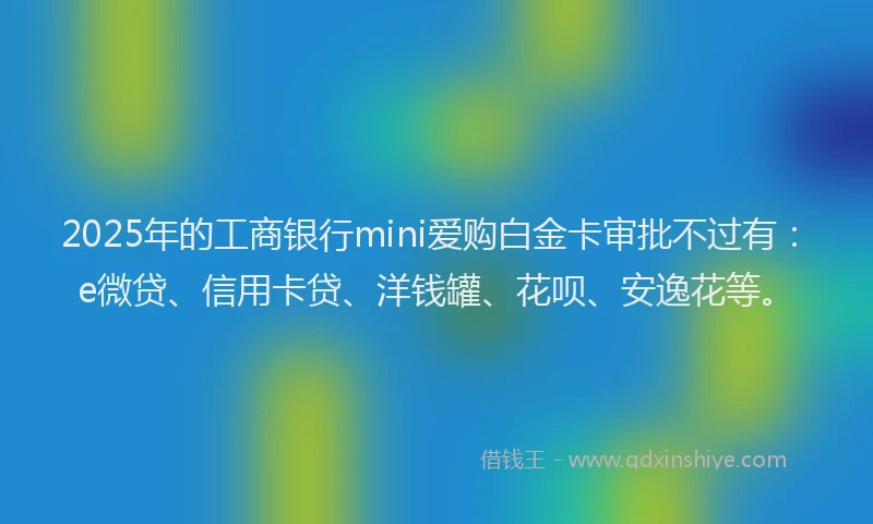 2025年的工商银行mini爱购白金卡审批不过有：e微贷、信用卡贷、洋钱罐、花呗、安逸花等。