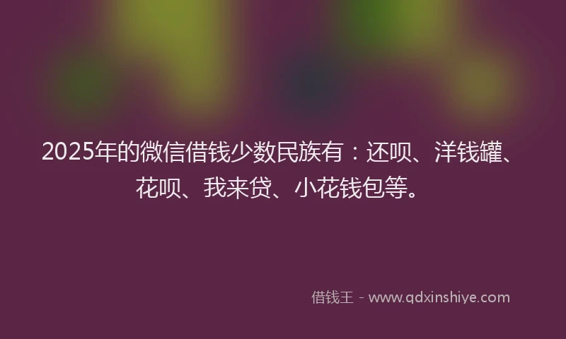 2025年的微信借钱少数民族有：还呗、洋钱罐、花呗、我来贷、小花钱包等。