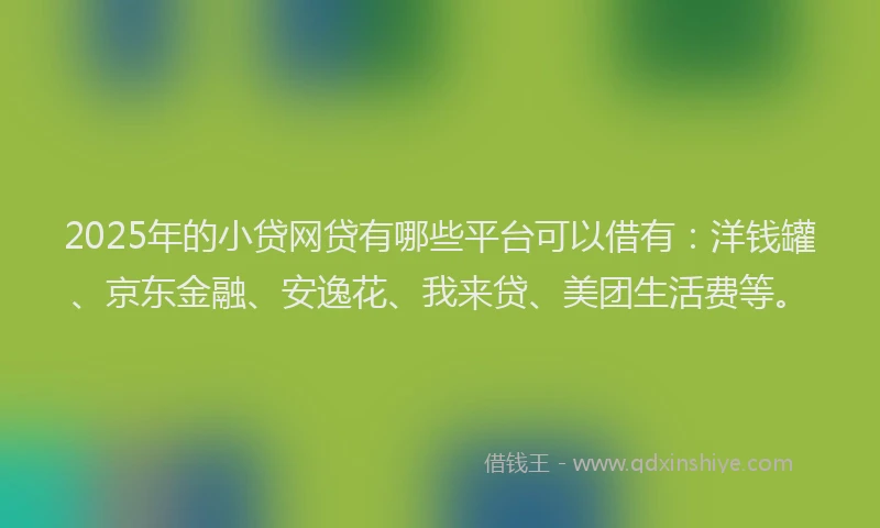 2025年的小贷网贷有哪些平台可以借有：洋钱罐、京东金融、安逸花、我来贷、美团生活费等。