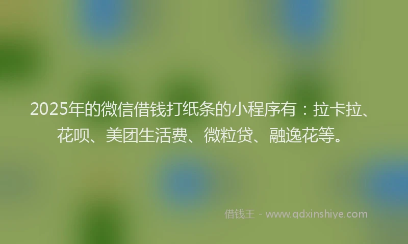 2025年的微信借钱打纸条的小程序有：拉卡拉、花呗、美团生活费、微粒贷、融逸花等。