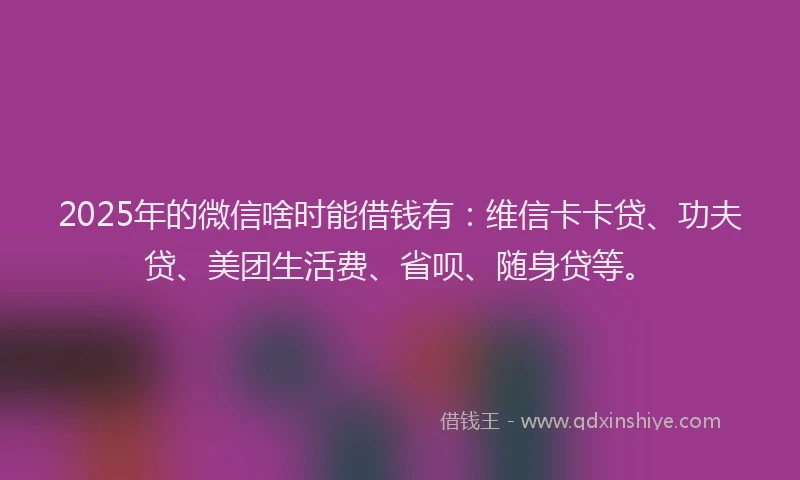 2025年的微信啥时能借钱有：维信卡卡贷、功夫贷、美团生活费、省呗、随身贷等。