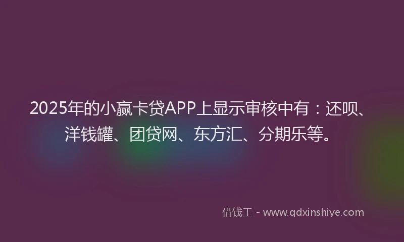 2025年的小赢卡贷APP上显示审核中有：还呗、洋钱罐、团贷网、东方汇、分期乐等。