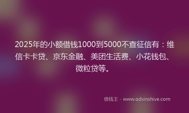 2025年的小额借钱1000到5000不查征信有：维信卡卡贷、京东金融、美团生活费、小花钱包、微粒贷等。