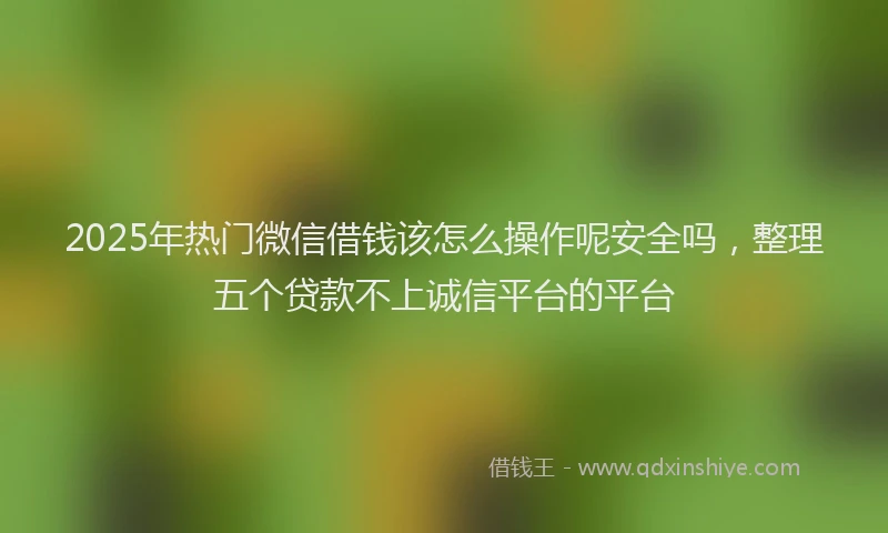2025年热门微信借钱该怎么操作呢安全吗，整理五个贷款不上诚信平台的平台