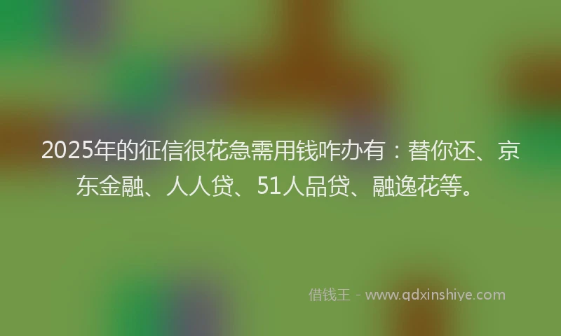 2025年的征信很花急需用钱咋办有：替你还、京东金融、人人贷、51人品贷、融逸花等。