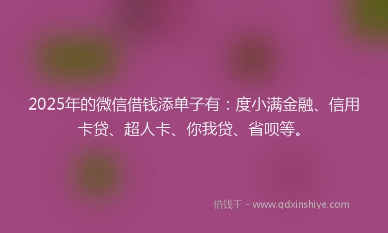 2025年的微信借钱添单子有：度小满金融、信用卡贷、超人卡、你我贷、省呗等。