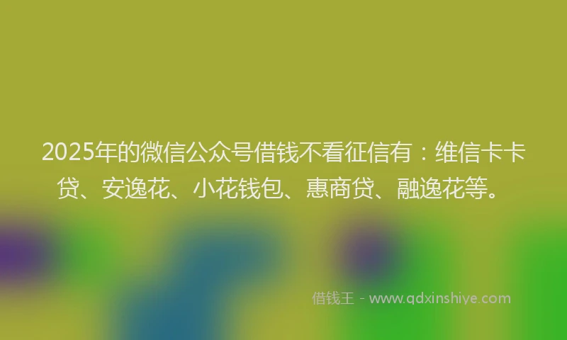 2025年的微信公众号借钱不看征信有：维信卡卡贷、安逸花、小花钱包、惠商贷、融逸花等。