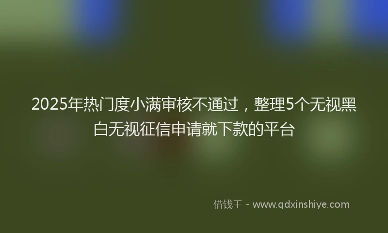 2025年热门度小满审核不通过，整理5个无视黑白无视征信申请就下款的平台
