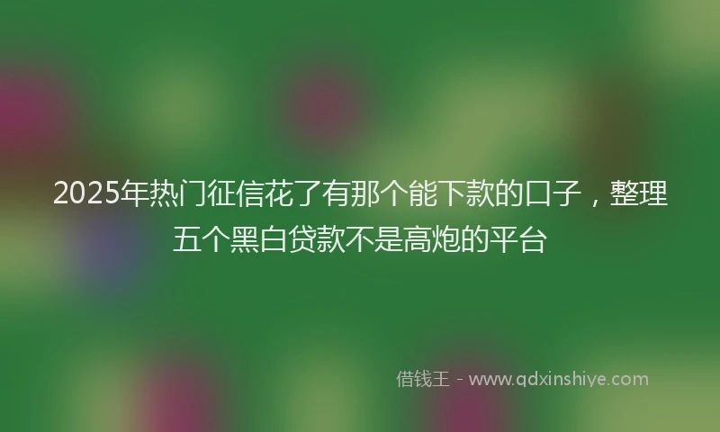 2025年热门征信花了有那个能下款的口子，整理五个黑白贷款不是高炮的平台