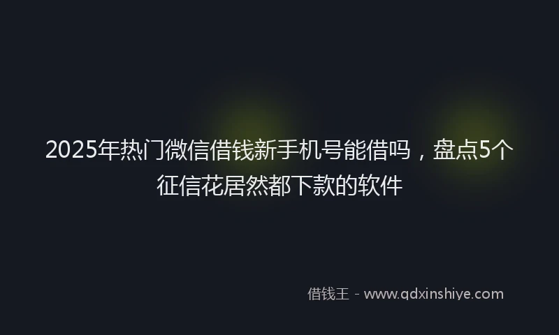 2025年热门微信借钱新手机号能借吗，盘点5个征信花居然都下款的软件