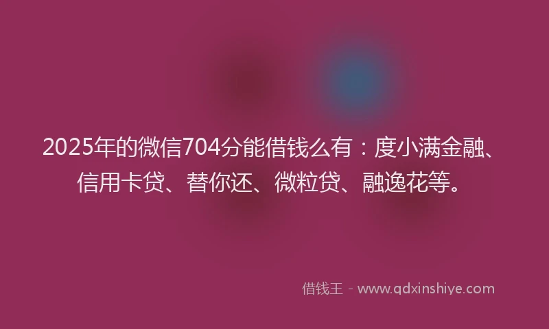 2025年的微信704分能借钱么有：度小满金融、信用卡贷、替你还、微粒贷、融逸花等。
