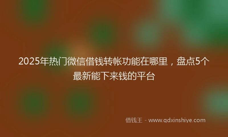 2025年热门微信借钱转帐功能在哪里，盘点5个最新能下来钱的平台