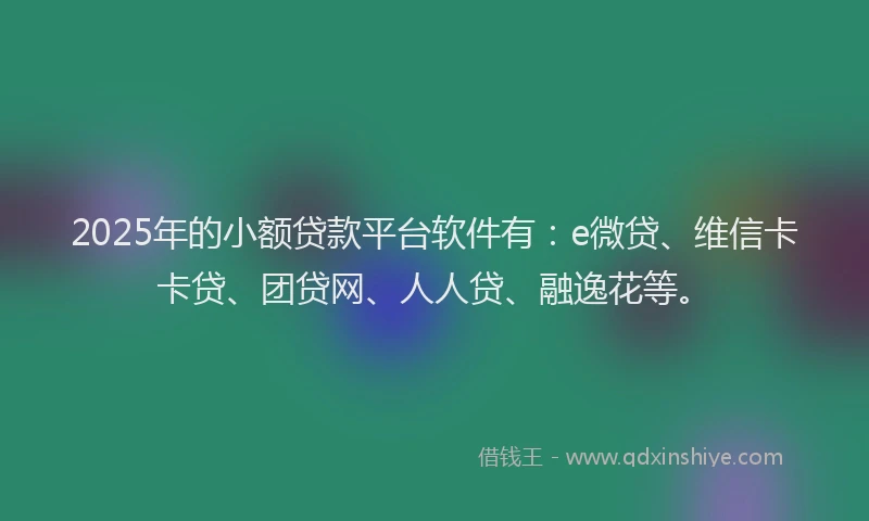 2025年的小额贷款平台软件有：e微贷、维信卡卡贷、团贷网、人人贷、融逸花等。