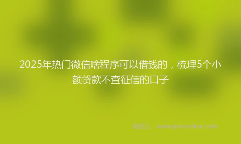 2025年热门微信啥程序可以借钱的，梳理5个小额贷款不查征信的口子