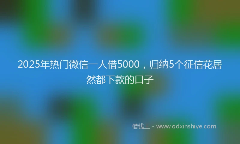 2025年热门微信一人借5000，归纳5个征信花居然都下款的口子
