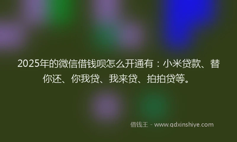 2025年的微信借钱呗怎么开通有：小米贷款、替你还、你我贷、我来贷、拍拍贷等。