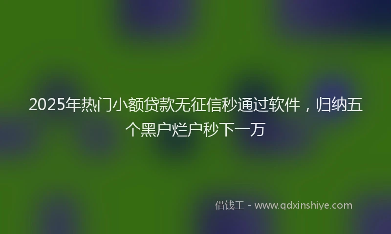 2025年热门小额贷款无征信秒通过软件，归纳五个黑户烂户秒下一万