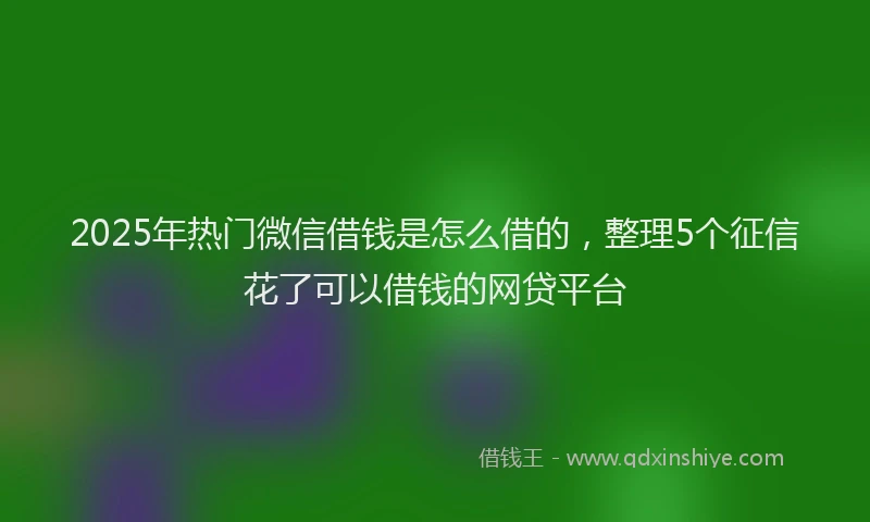 2025年热门微信借钱是怎么借的，整理5个征信花了可以借钱的网贷平台