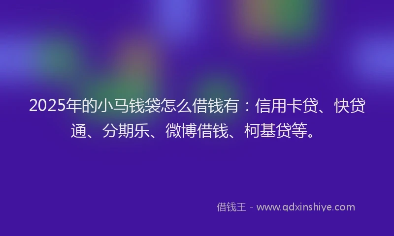2025年的小马钱袋怎么借钱有：信用卡贷、快贷通、分期乐、微博借钱、柯基贷等。