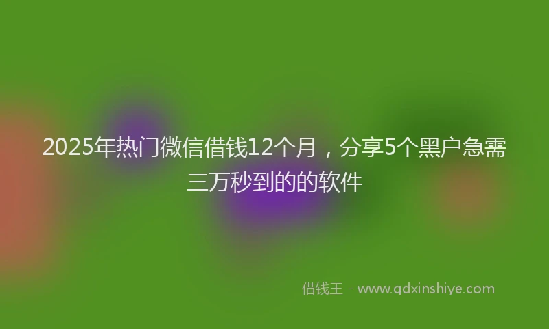 2025年热门微信借钱12个月，分享5个黑户急需三万秒到的的软件