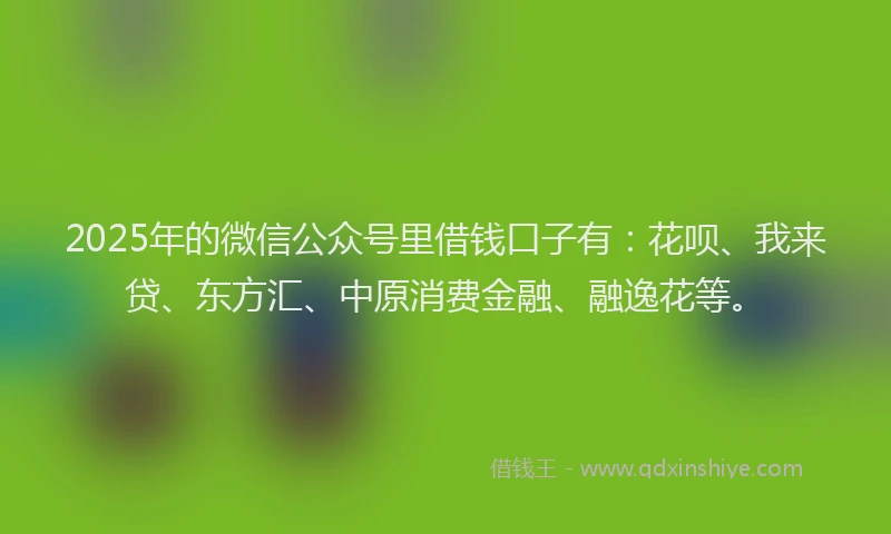 2025年的微信公众号里借钱口子有：花呗、我来贷、东方汇、中原消费金融、融逸花等。