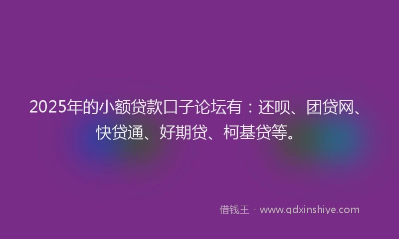 2025年的小额贷款口子论坛有：还呗、团贷网、快贷通、好期贷、柯基贷等。