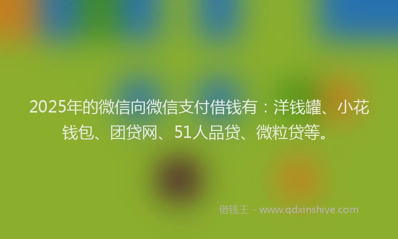 2025年的微信向微信支付借钱有：洋钱罐、小花钱包、团贷网、51人品贷、微粒贷等。