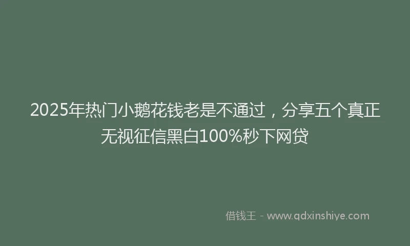 2025年热门小鹅花钱老是不通过，分享五个真正无视征信黑白100%秒下网贷