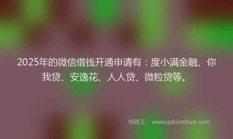 2025年的微信借钱开通申请有：度小满金融、你我贷、安逸花、人人贷、微粒贷等。