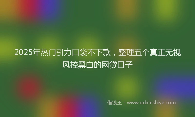 2025年热门引力口袋不下款，整理五个真正无视风控黑白的网贷口子