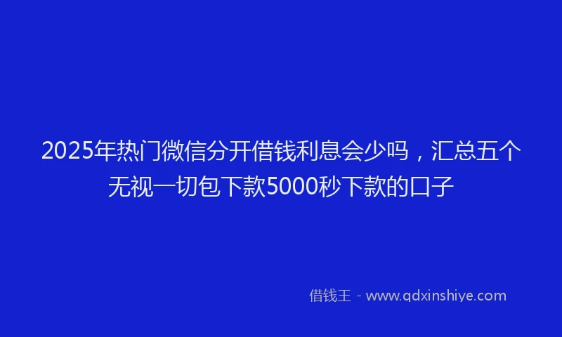 2025年热门微信分开借钱利息会少吗，汇总五个无视一切包下款5000秒下款的口子
