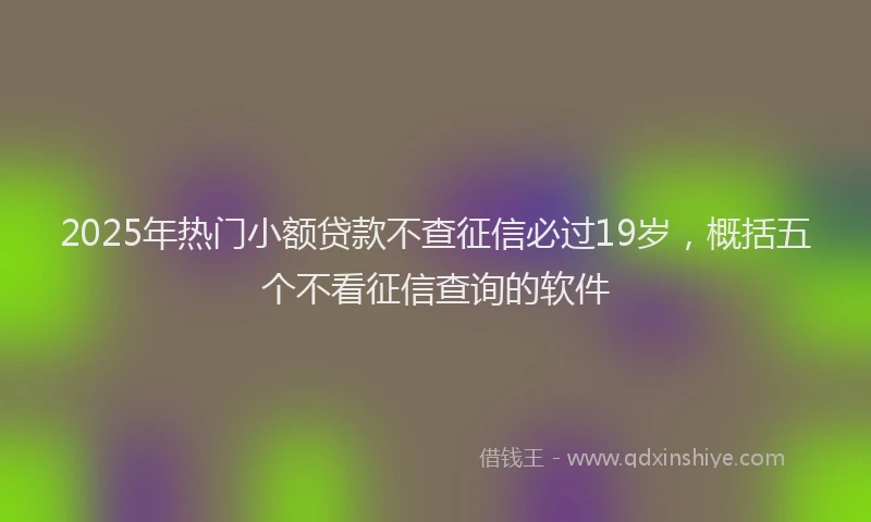 2025年热门小额贷款不查征信必过19岁，概括五个不看征信查询的软件