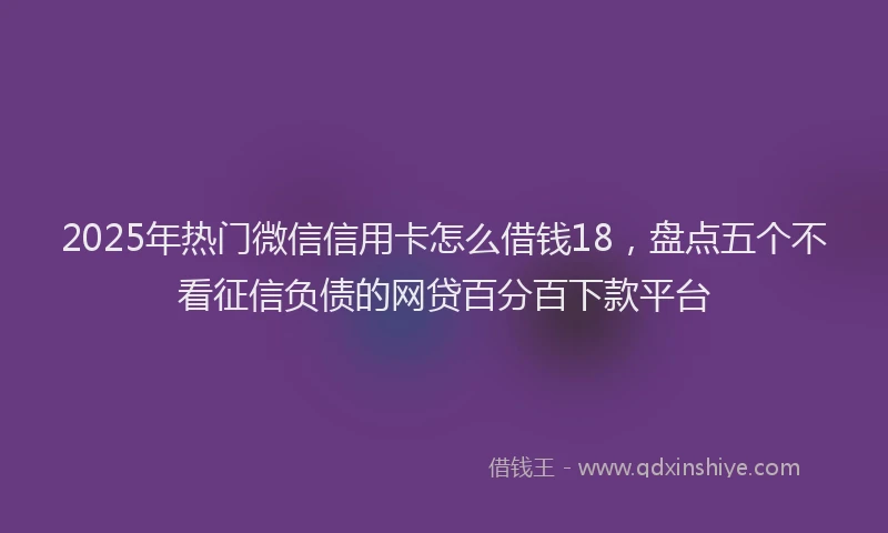 2025年热门微信信用卡怎么借钱18，盘点五个不看征信负债的网贷百分百下款平台