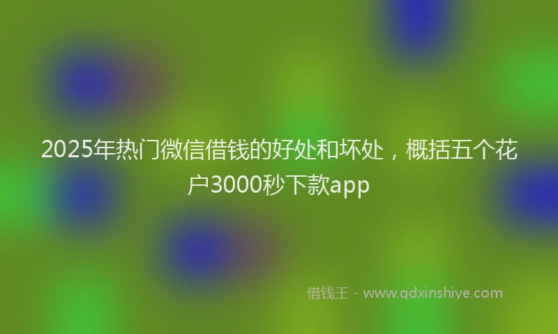 2025年热门微信借钱的好处和坏处，概括五个花户3000秒下款app