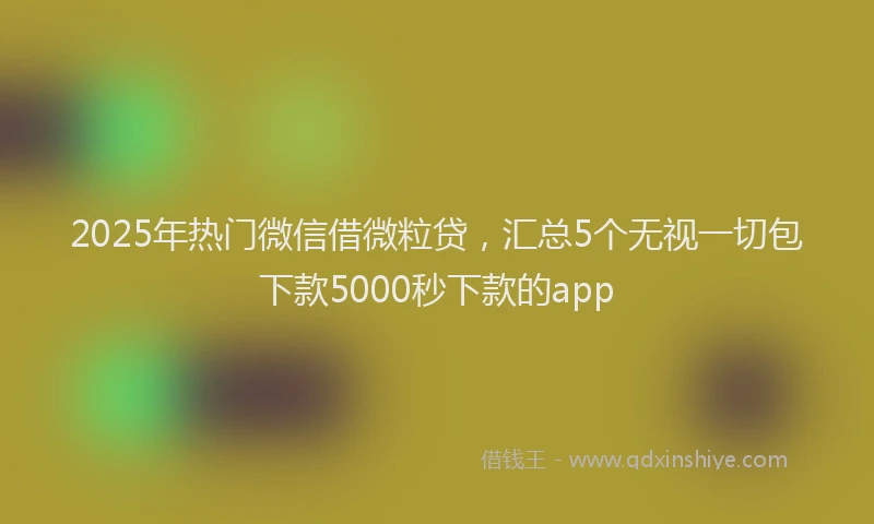 2025年热门微信借微粒贷，汇总5个无视一切包下款5000秒下款的app
