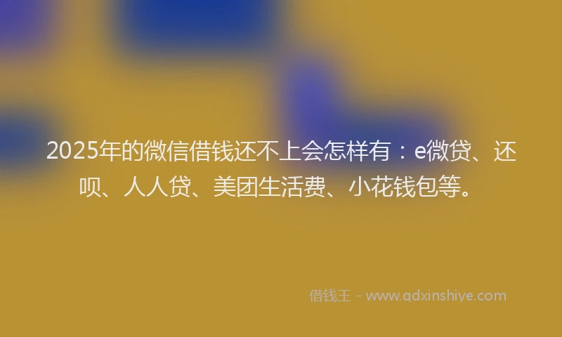2025年的微信借钱还不上会怎样有：e微贷、还呗、人人贷、美团生活费、小花钱包等。