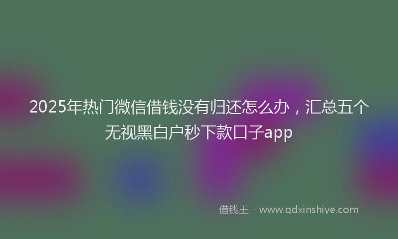 2025年热门微信借钱没有归还怎么办，汇总五个无视黑白户秒下款口子app