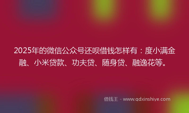 2025年的微信公众号还呗借钱怎样有：度小满金融、小米贷款、功夫贷、随身贷、融逸花等。
