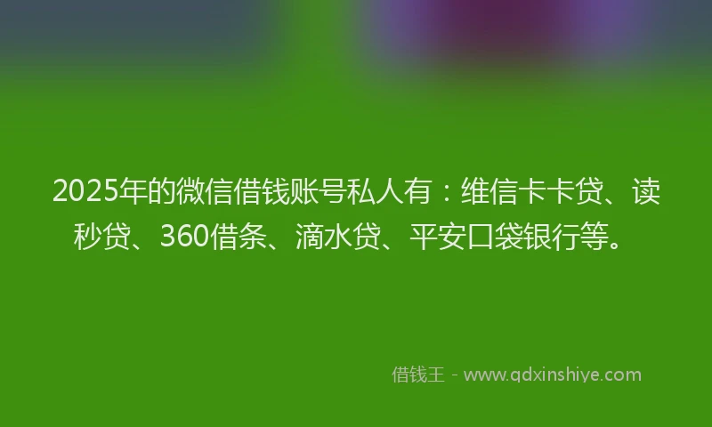 2025年的微信借钱账号私人有：维信卡卡贷、读秒贷、360借条、滴水贷、平安口袋银行等。