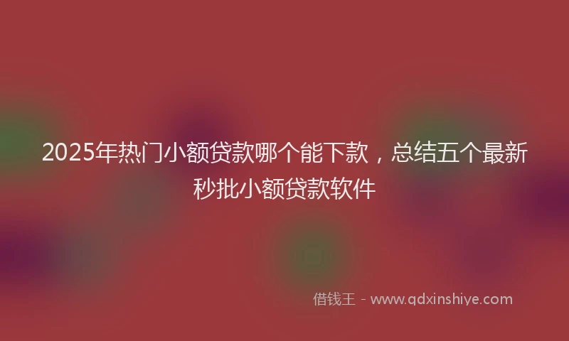 2025年热门小额贷款哪个能下款，总结五个最新秒批小额贷款软件