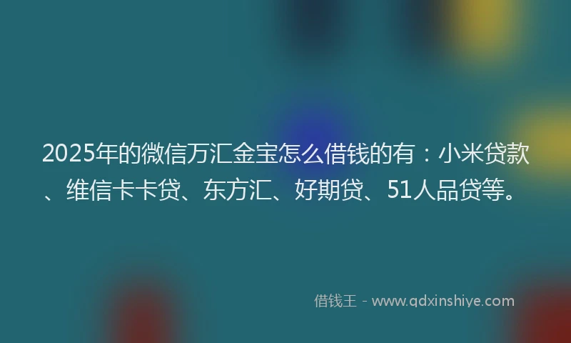 2025年的微信万汇金宝怎么借钱的有：小米贷款、维信卡卡贷、东方汇、好期贷、51人品贷等。