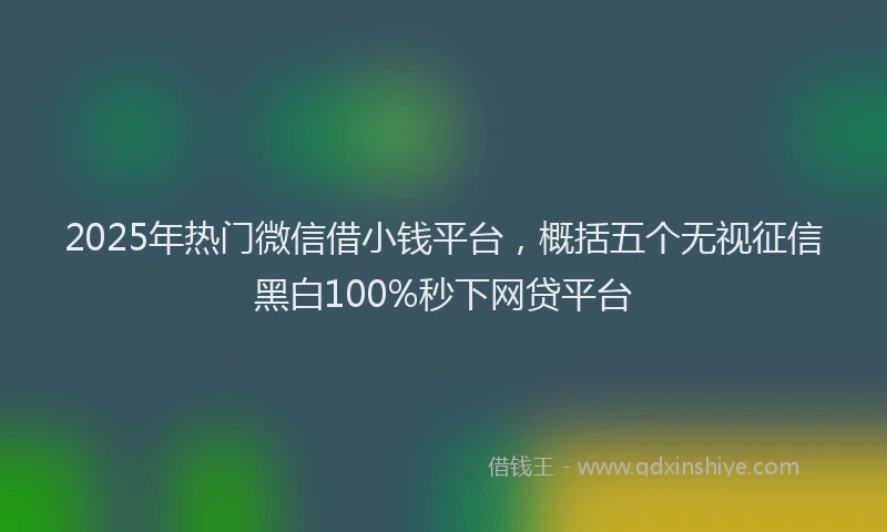 2025年热门微信借小钱平台，概括五个无视征信黑白100%秒下网贷平台