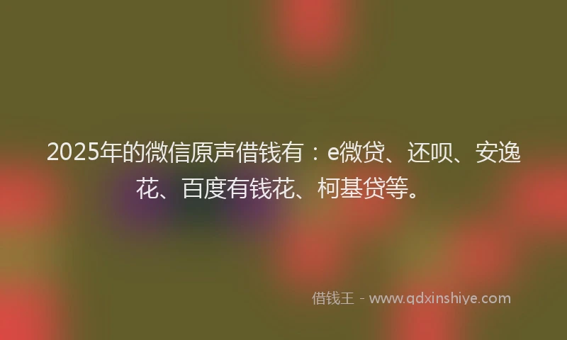 2025年的微信原声借钱有：e微贷、还呗、安逸花、百度有钱花、柯基贷等。