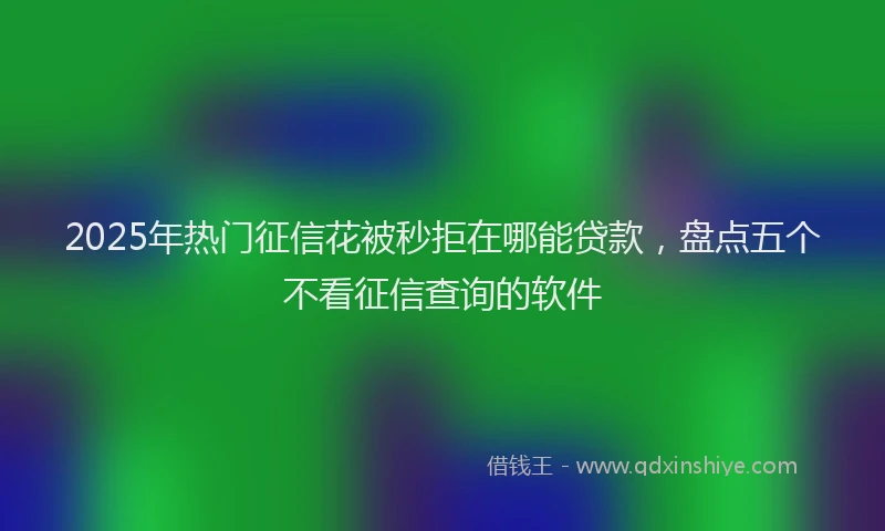 2025年热门征信花被秒拒在哪能贷款，盘点五个不看征信查询的软件