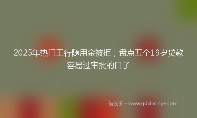 2025年热门工行随用金被拒，盘点五个19岁贷款容易过审批的口子