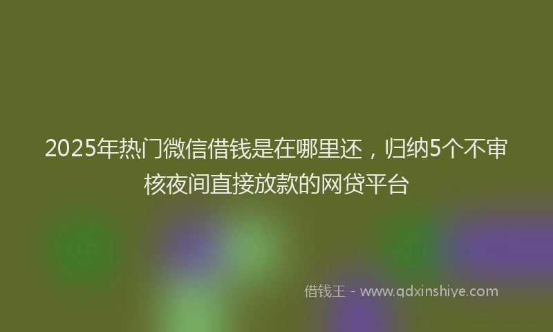 2025年热门微信借钱是在哪里还，归纳5个不审核夜间直接放款的网贷平台