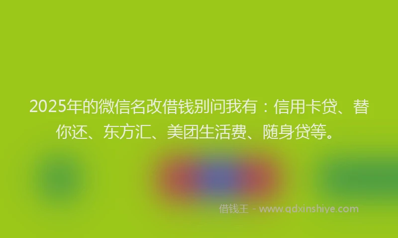 2025年的微信名改借钱别问我有：信用卡贷、替你还、东方汇、美团生活费、随身贷等。