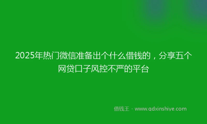 2025年热门微信准备出个什么借钱的，分享五个网贷口子风控不严的平台