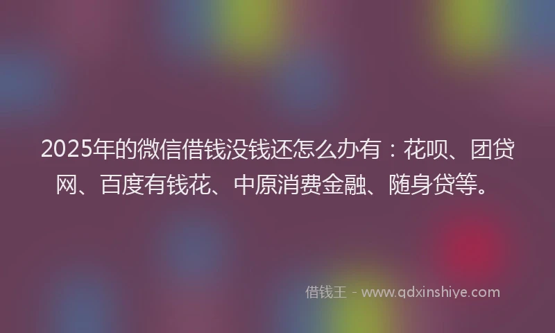 2025年的微信借钱没钱还怎么办有：花呗、团贷网、百度有钱花、中原消费金融、随身贷等。