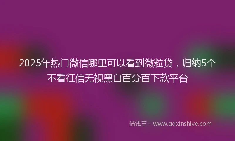 2025年热门微信哪里可以看到微粒贷，归纳5个不看征信无视黑白百分百下款平台